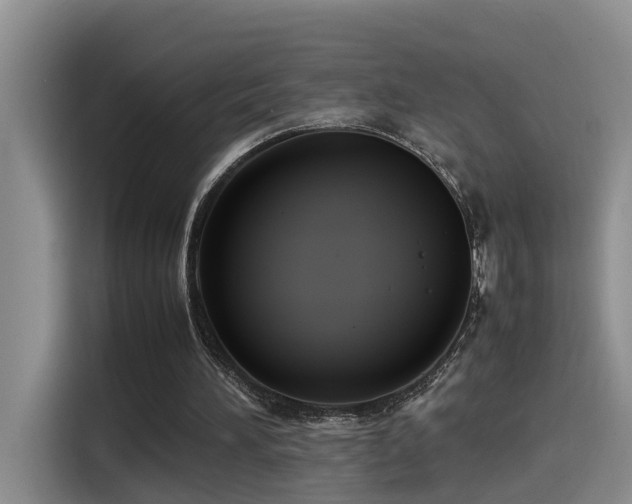 X0000115510196200911061404