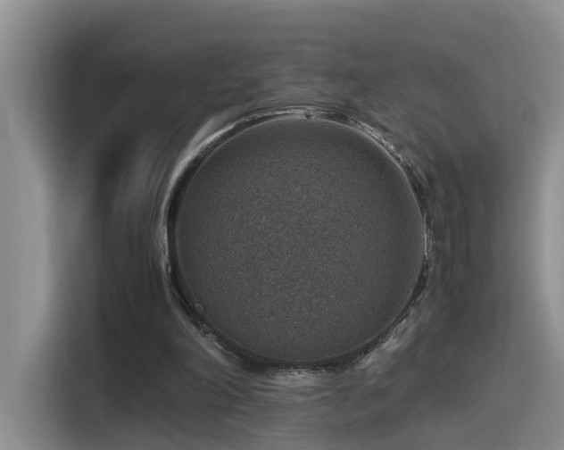 X0000115510198200911061404