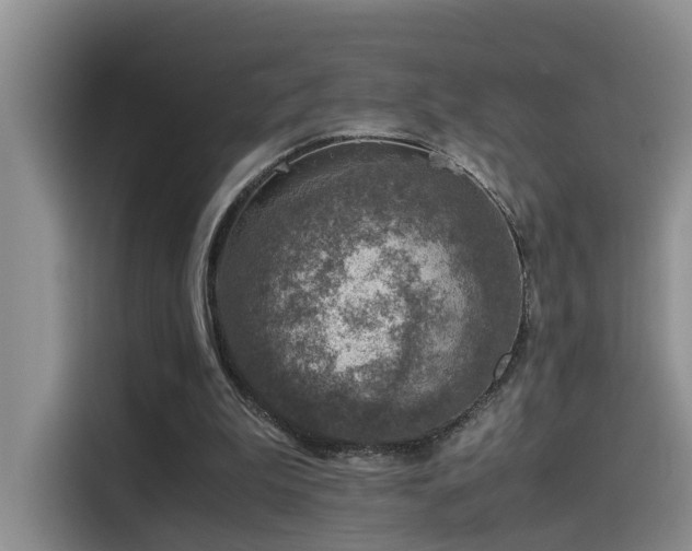 X0000115510199200911061404