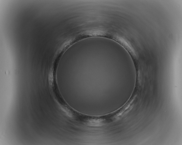 X0000115510202200911061404