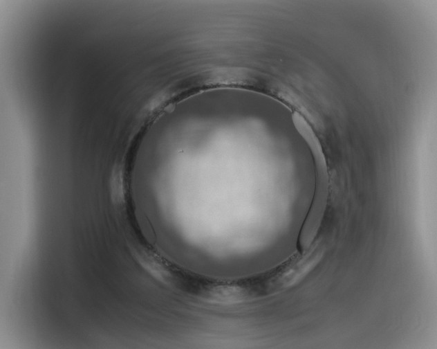 X0000115510203200911061403