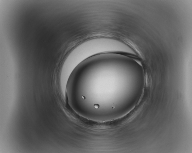 X0000115510205200911061403