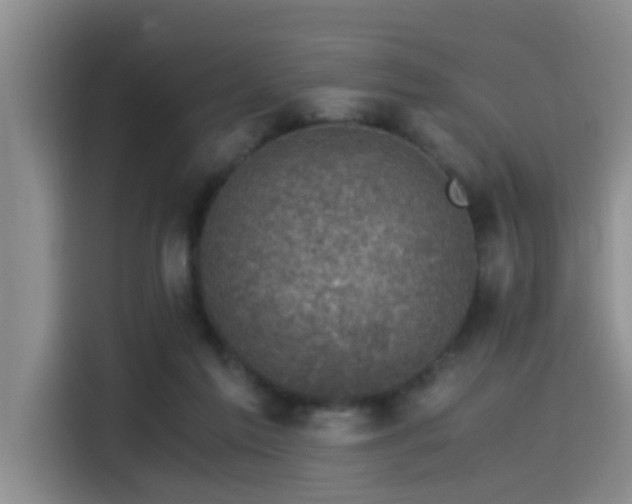 X0000115510213200911061403