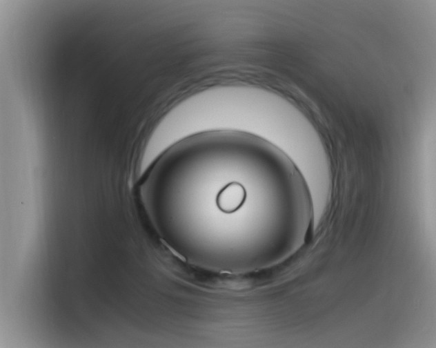 X0000115510217200911061403