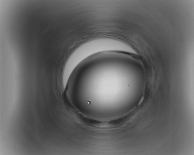 X0000115510219200911061403
