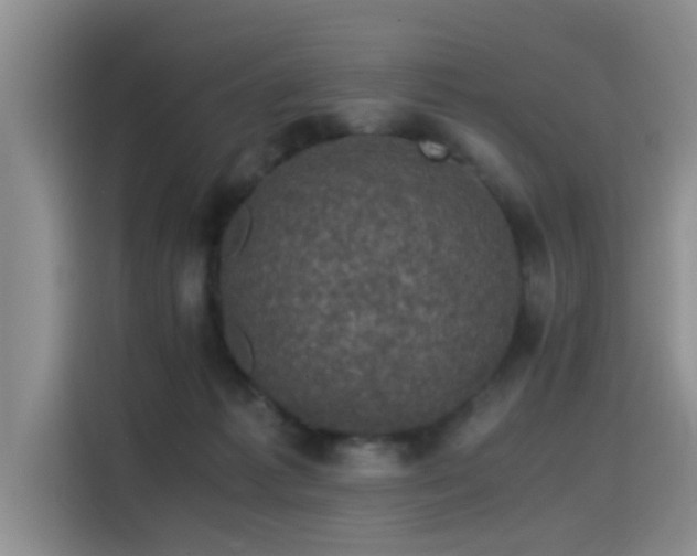 X0000115510221200911061403