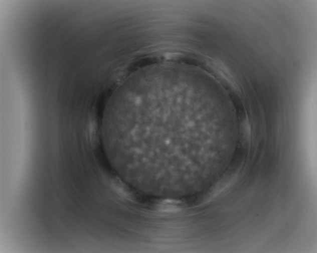 X0000115510222200911061403
