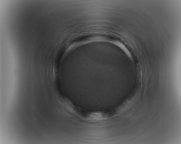 X0000115510227200911061403