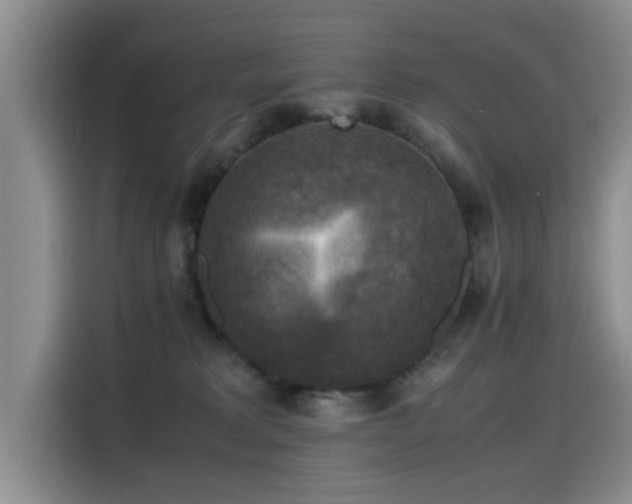 X0000115510229200911061403