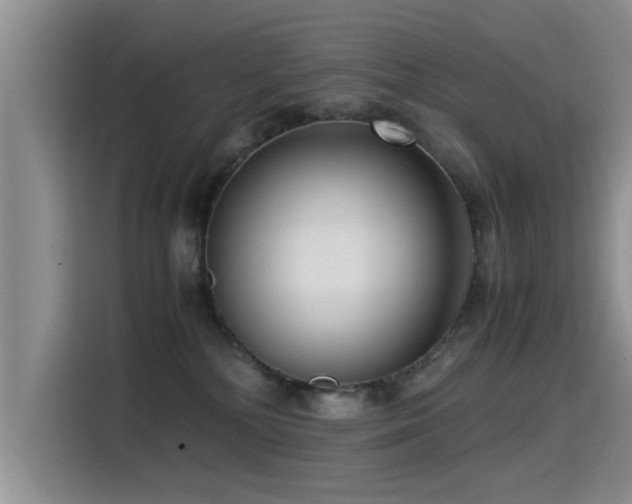 X0000115510232200911061403