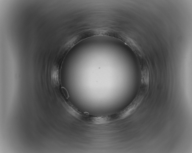 X0000115510238200911061403