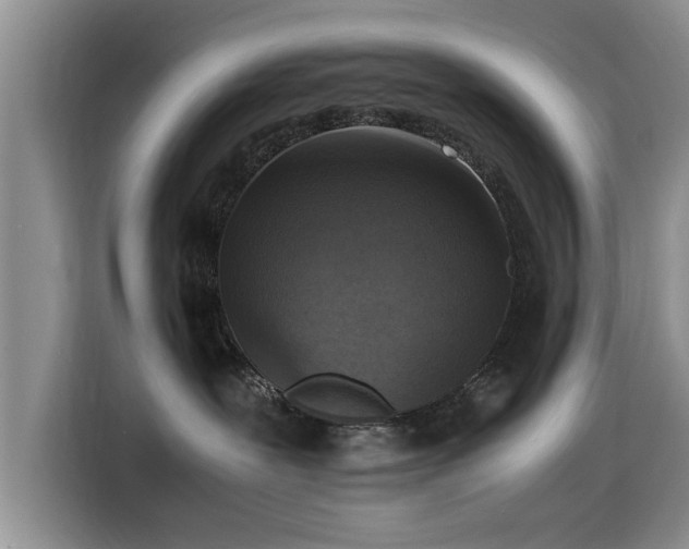 X0000115510239200911061403