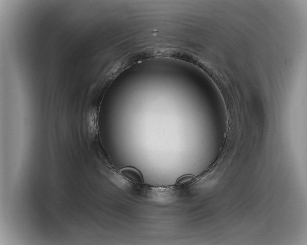 X0000115510240200911061403