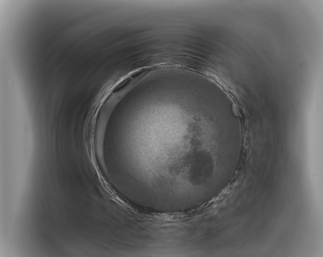 X0000115510241200911061402