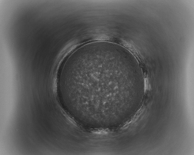 X0000115510243200911061402
