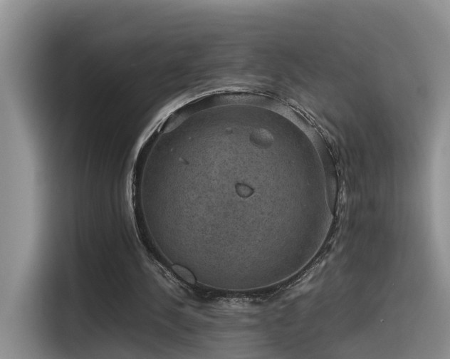 X0000115510244200911061402