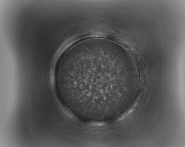 X0000115510247200911061402