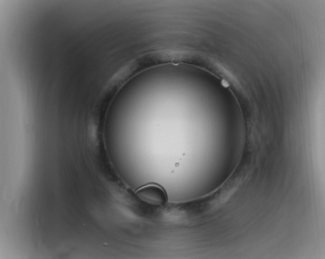 X0000115510258200911061403