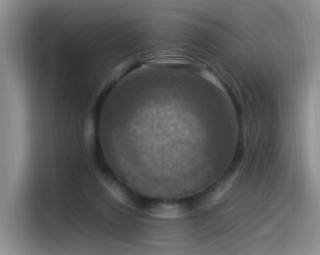 X0000115510260200911061403