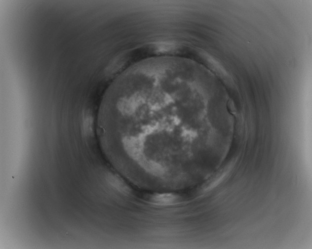 X0000115510269200911061403