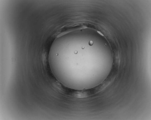 X0000115510275200911061403