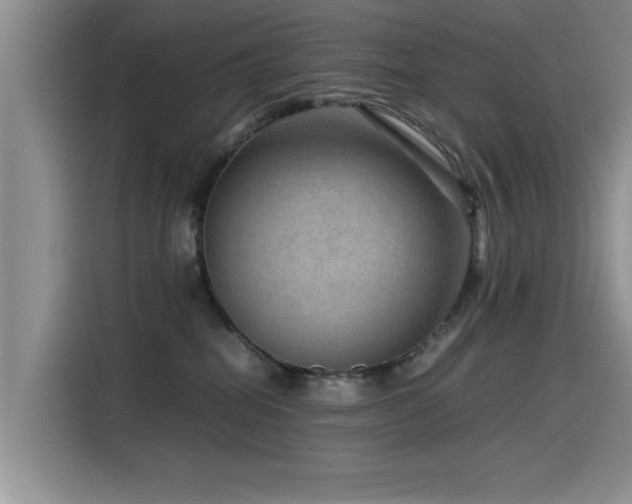 X0000115510282200911061403