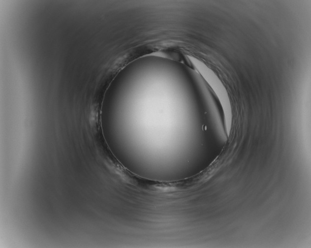 X0000115510284200911061403