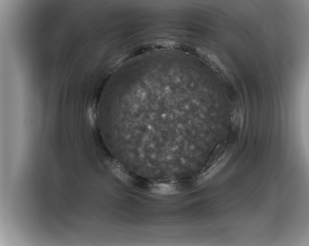 X0000115510285200911061403