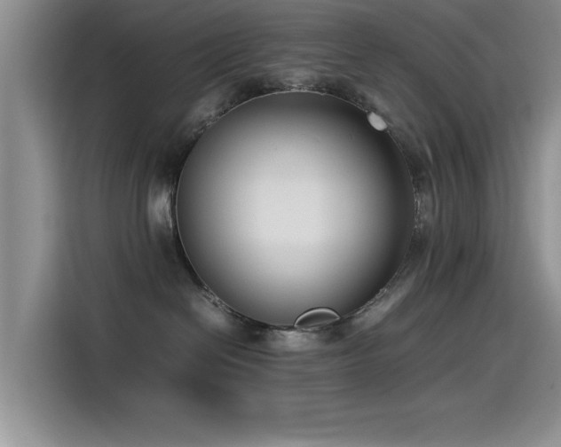 X0000115510286200911061403