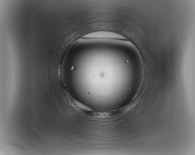 X0000115510288200911061403