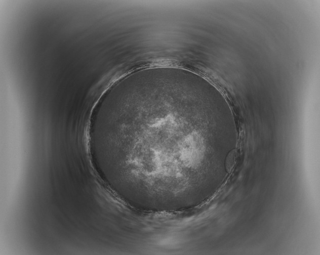 X0000115510290200911061402