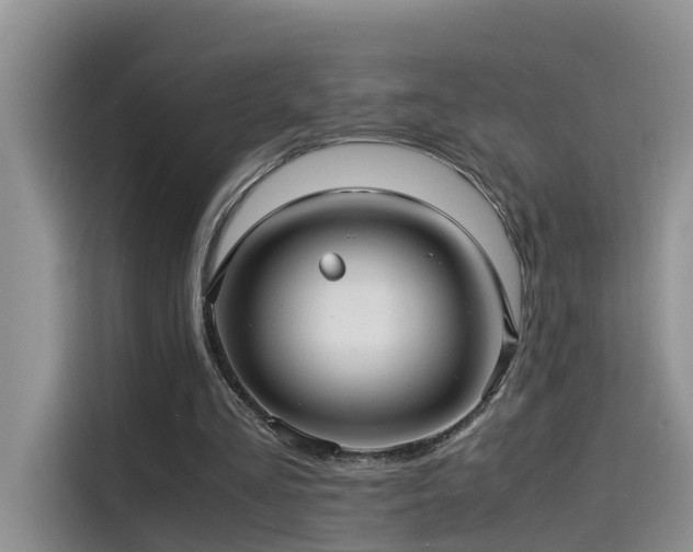 X0000115510293200911061402