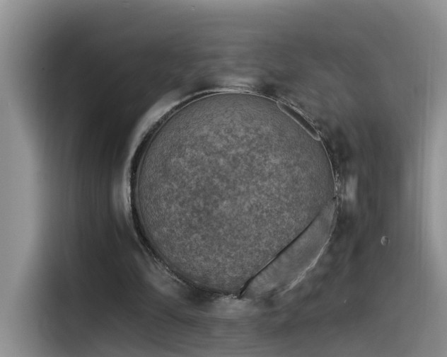 X0000115510294200911061402