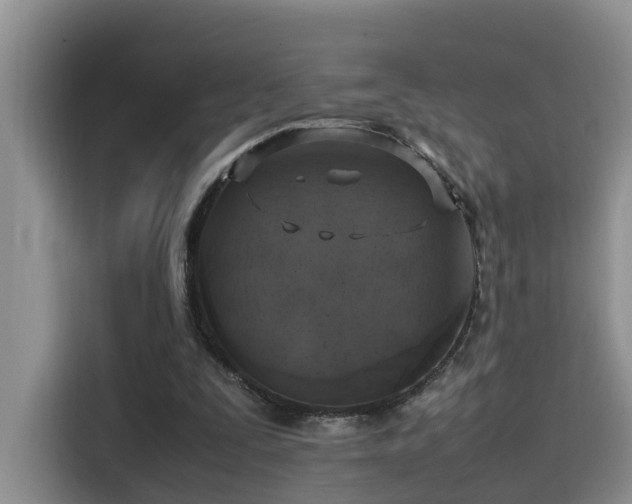 X0000115510295200911061402