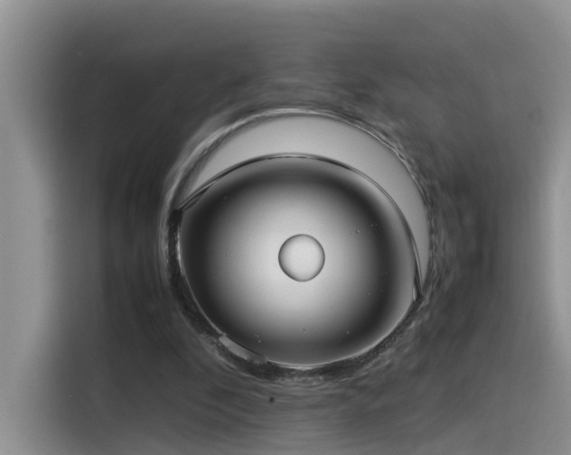 X0000115510296200911061402