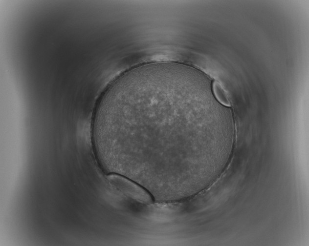X0000115510297200911061402