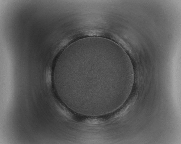 X0000115510299200911061402