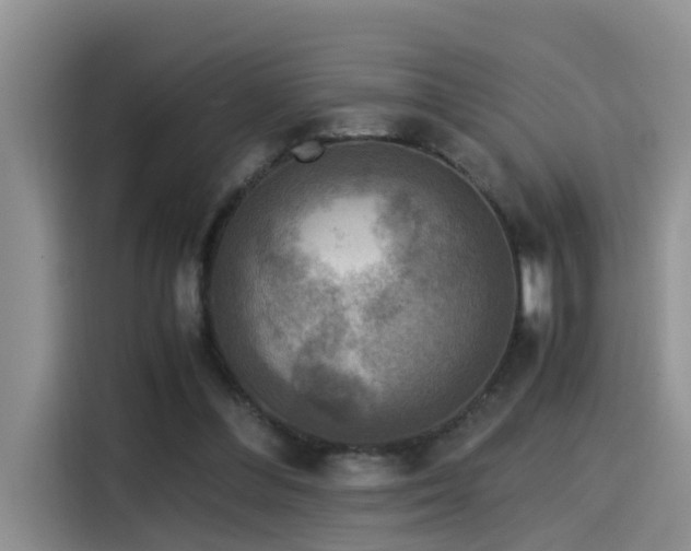X0000115510300200911061402