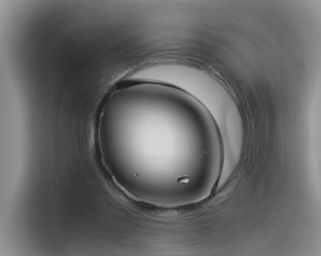 X0000115510301200911061402