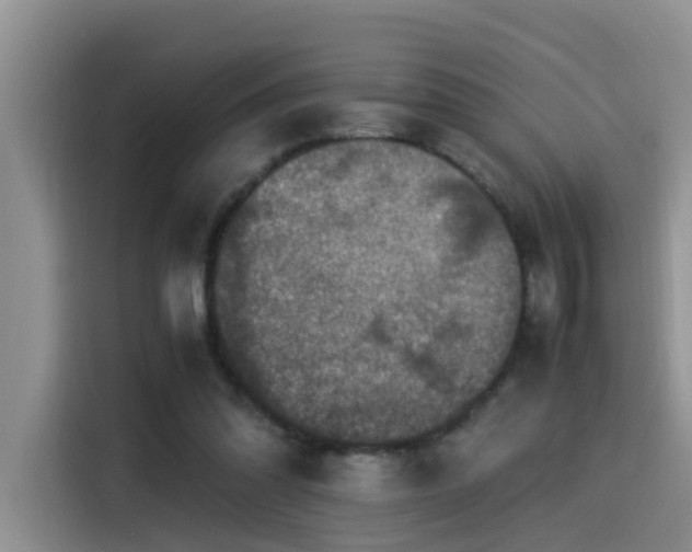 X0000115510302200911061402