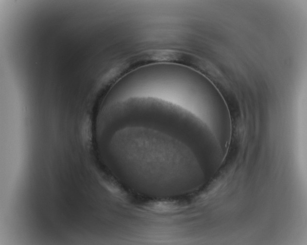 X0000115510303200911061402