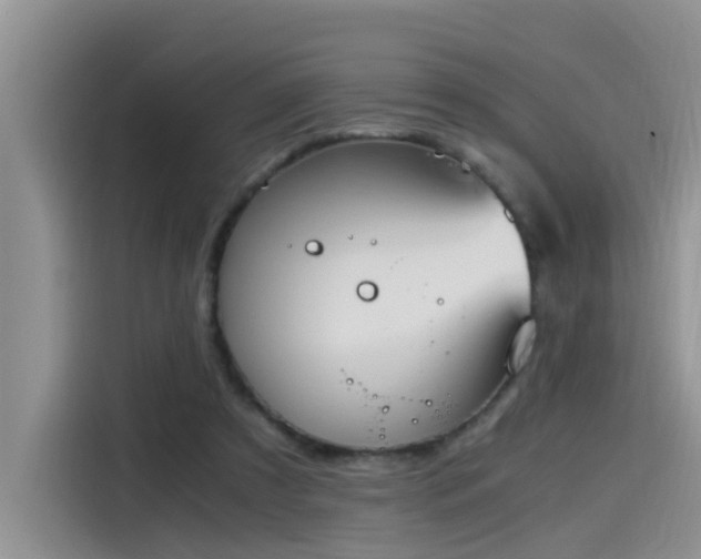 X0000115510305200911061402