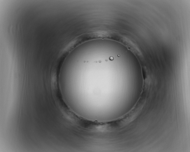 X0000115510306200911061402