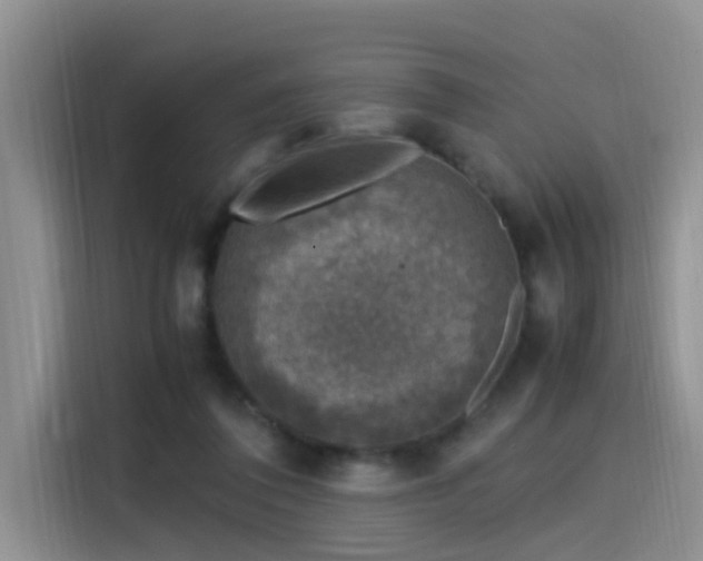 X0000115510308200911061402