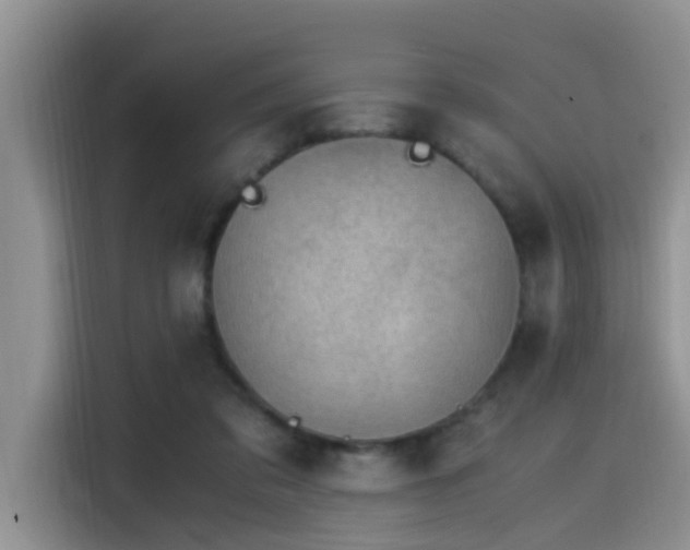 X0000115510309200911061402