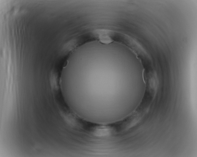 X0000115510316200911061402