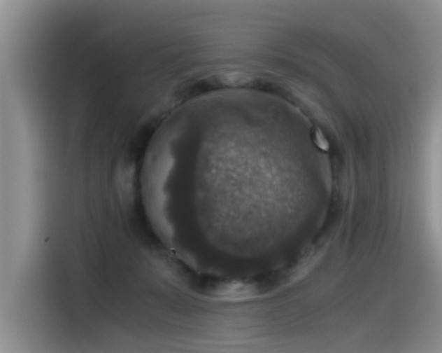 X0000115510319200911061402