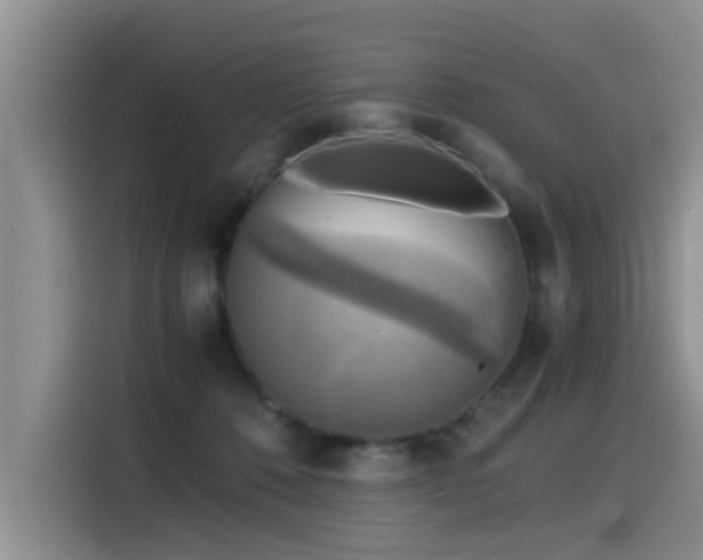 X0000115510320200911061402