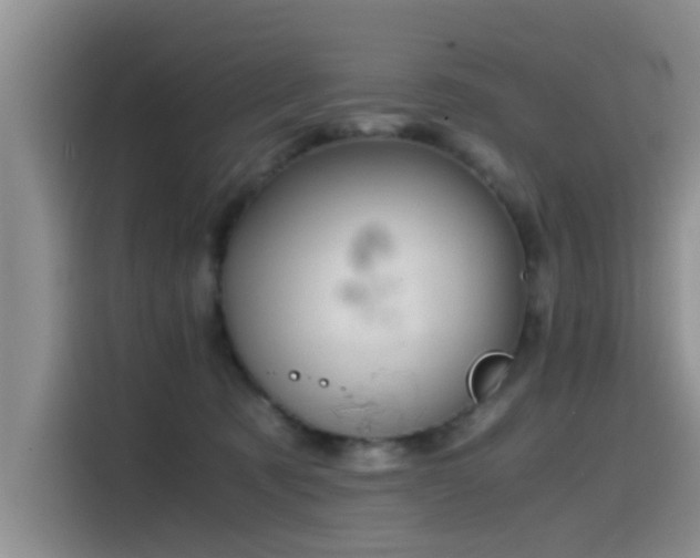 X0000115510321200911061402