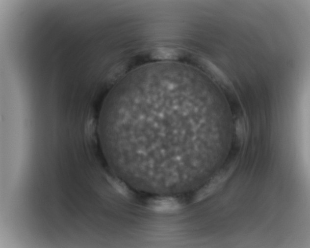 X0000115510322200911061402
